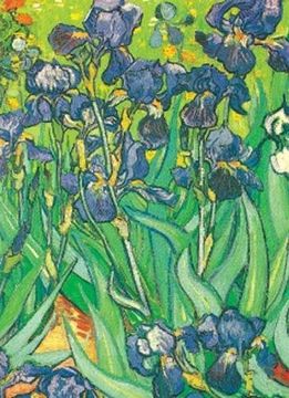 portada Van Gogh Not (Decorative Nots) 