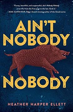 portada Ain't Nobody Nobody (en Inglés)