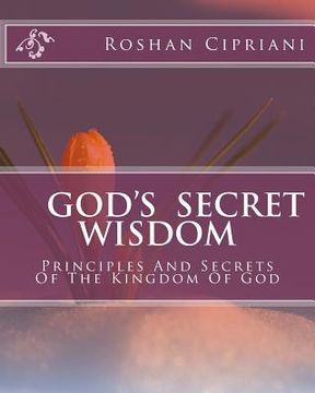 portada God's Secret Wisdom: Principles And Secrets Of The Kingdom Of God (en Inglés)