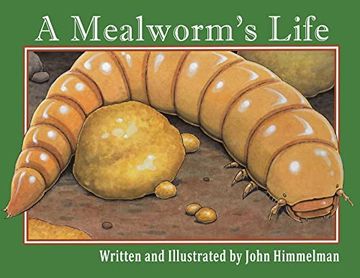 portada A Mealworm's Life (en Inglés)
