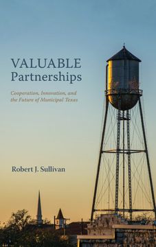 portada Valuable Partnerships (in English)