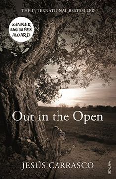 portada Out In The Open
