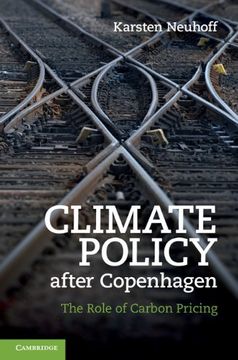 portada Climate Policy After Copenhagen Hardback (en Inglés)