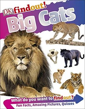 portada Big Cats (Dkfindout! ) 