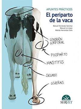 portada Periparto de la Vaca: Apuntes Prácticos, el - Libros de Veterinaria - Editorial Servet