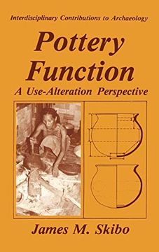 portada Pottery Function: A Use-Alteration Perspective (Interdisciplinary Contributions to Archaeology) (in English)