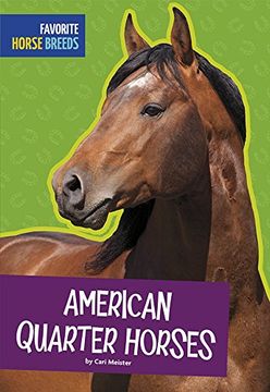 portada American Quarter Horses (Favorite Horse Breeds) (en Inglés)