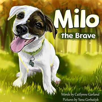 portada Milo the Brave (en Inglés)