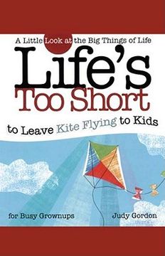 portada Life's Too Short to Leave Kite Flying to Kids: A Little Look at the Big Things in Life (en Inglés)