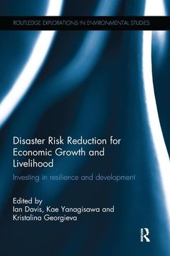 portada Disaster Risk Reduction for Economic Growth and Livelihood: Investing in Resilience and Development (in English)