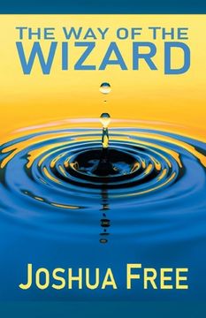 portada The Way of the Wizard: Utilitarian Systemology (A New Metahuman Ethic) (en Inglés)