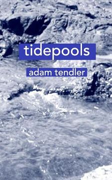 portada tidepools (in English)