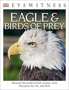portada Dk Eyewitness Books: Eagle and Birds of Prey: Discover the World of Birds of Prey how They Grow, Fly, Live, and Hunt (in English)