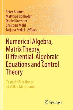 portada Numerical Algebra, Matrix Theory, Differential-Algebraic Equations and Control Theory: Festschrift in Honor of Volker Mehrmann (in English)