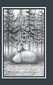 portada Boy and the Beetle (en Inglés)