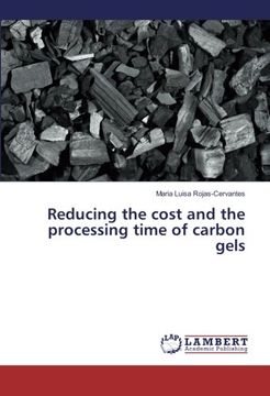 portada Reducing the cost and the processing time of carbon gels