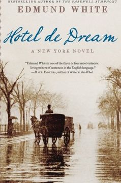 portada Hotel de Dream: A new York Novel (in English)