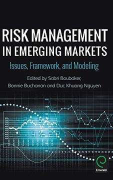 portada Risk Management in Emerging Markets: Issues, Framework, and Modeling