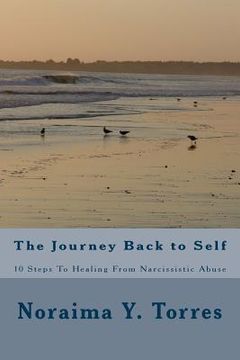 portada 10 Steps to Healing after Narcissistic Abuse (en Inglés)