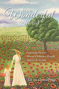 portada It's a Wonderful World: Inspiring Stories About Ordinary People and God's Grace (en Inglés)