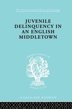 portada Juvenile Delinquency in an English Middle Town (International Library of Sociology)