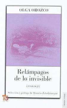 portada Relampagos de lo Invisible (in Spanish)