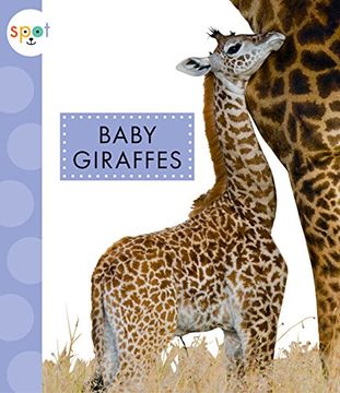 portada Baby Giraffes (Spot Baby Animals)