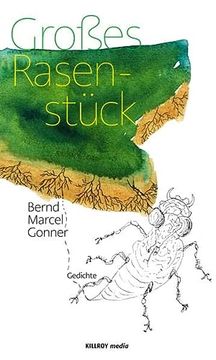 portada Großes Rasenstück (en Alemán)