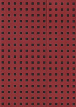 portada Zeszyt B6 Paper-oh Quadro w linie 56 kartek Red on Black