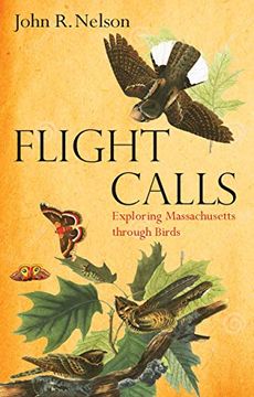 portada Flight Calls: Exploring Massachusetts Through Birds (en Inglés)