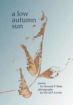 portada a low autumn sun (en Inglés)