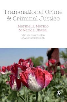 portada Transnational Crime and Criminal Justice (in English)