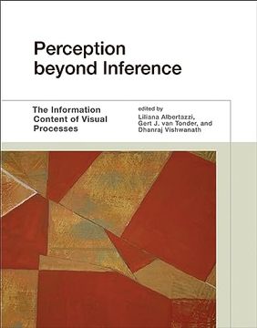 portada Perception Beyond Inference: The Information Content of Visual Processes (in English)