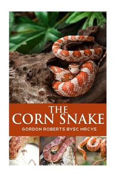 portada The Corn Snake (in English)