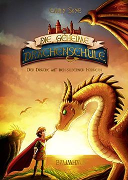portada Die Geheime Drachenschule - der Drache mit den Silbernen Hörnern (en Alemán)