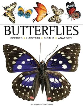portada Butterflies (Mini Encyclopedia) (en Inglés)