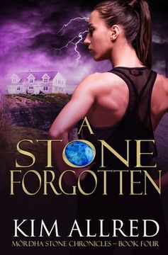 portada A Stone Forgotten: Time Travel Adventure Romance (en Inglés)