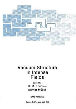 portada Vacuum Structure in Intense Fields (in English)
