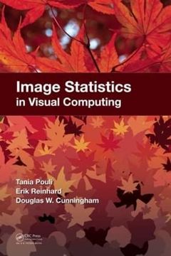 portada Image Statistics in Visual Computing (en Inglés)