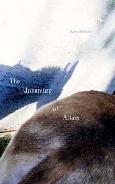 portada The Unnaming of Aliass (en Inglés)
