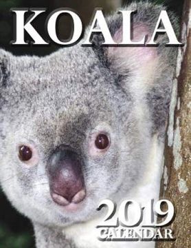 portada Koala 2019 Calendar (in English)