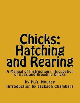 portada Chicks: Hatching and Rearing: A Manual of Instruction in Incubation of Eggs and Brooding Chicks (en Inglés)