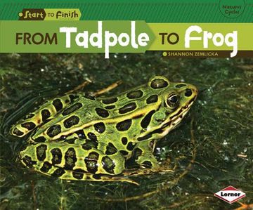 portada from tadpole to frog (en Inglés)