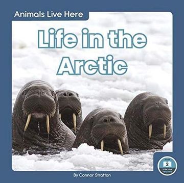 portada Animals Live Here: Life in the Arctic (en Inglés)