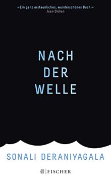 portada Nach der Welle: (Gebundene Ausgabe) (en Alemán)