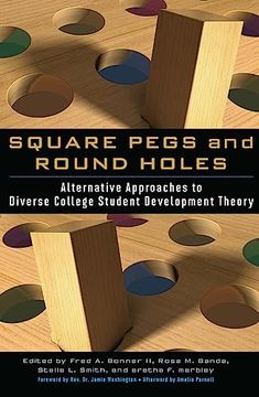 portada Square Pegs and Round Holes (en Inglés)