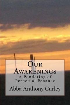 portada Our Awakenings: A Pondering of Perpetual Penance (in English)