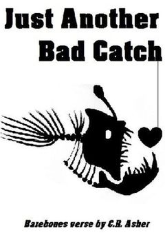 portada Just Another Bad Catch