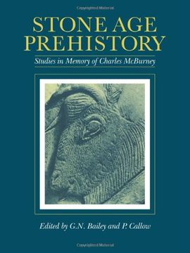 portada Stone age Prehistory: Studies in Memory of Charles Mcburney (en Inglés)