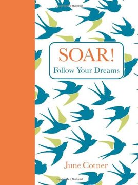 portada Soar!: Follow Your Dreams